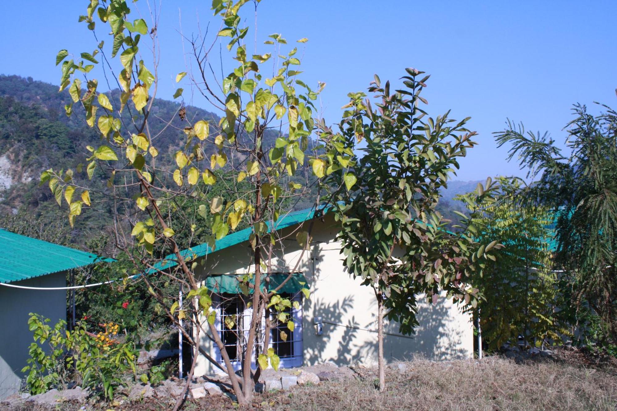 Shoolin Jungle Resort Rishīkesh Exterior foto